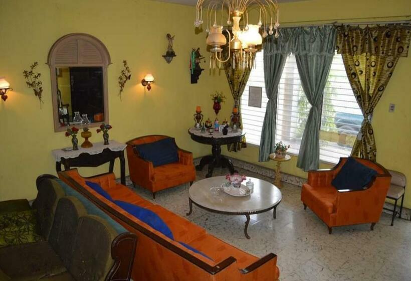 بنسيون Central Park Vega