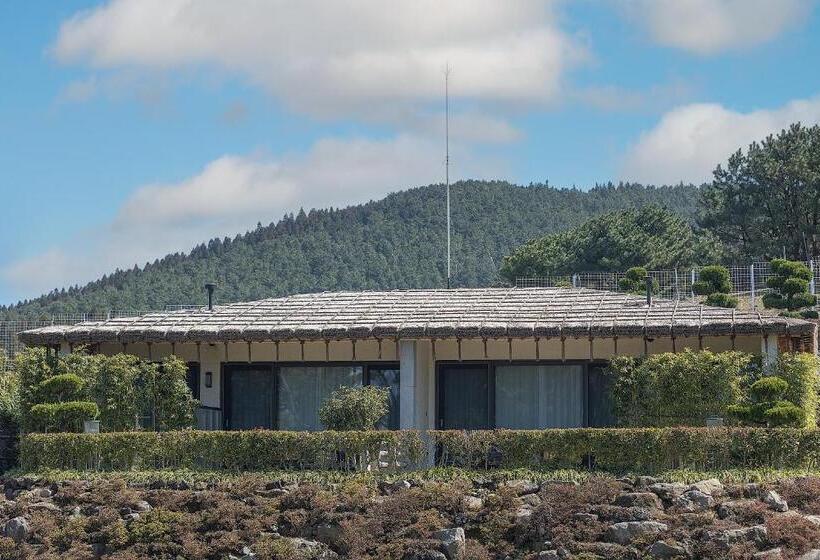 Amber Pure Hill Hotels & Resorts Jeju