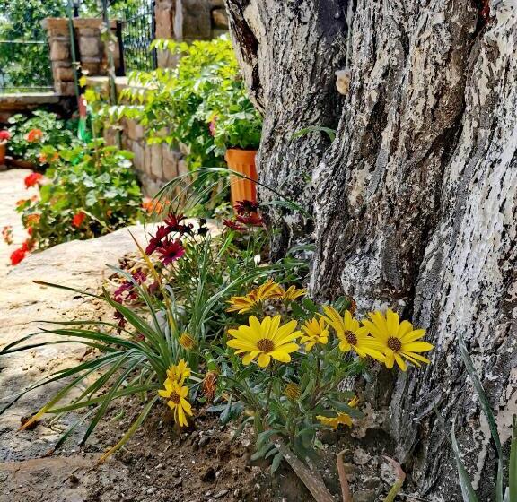 پانسیون Ilios Guest House