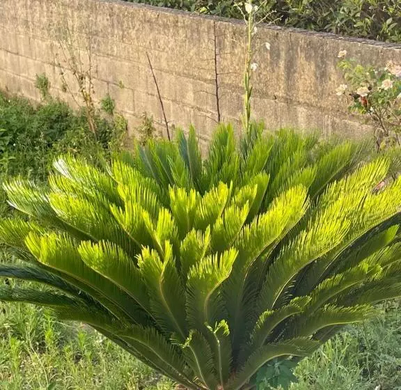 Majatalo Mezzaluna Guest House