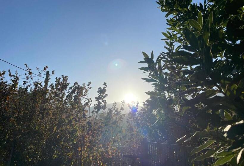 פנסיון Mezzaluna Guest House