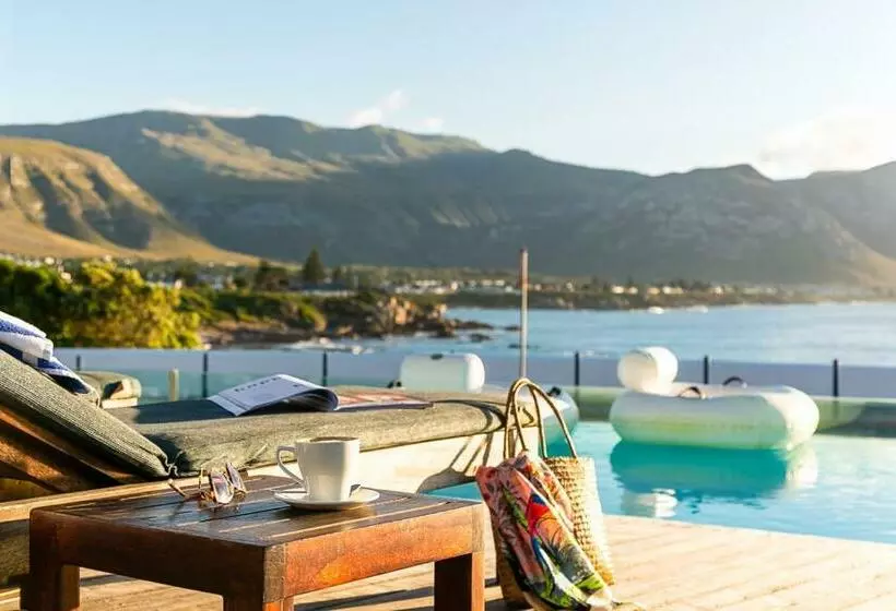 Harbour House Hotel Adventure Pads