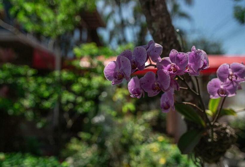 بنسيون Pousada Navegantes