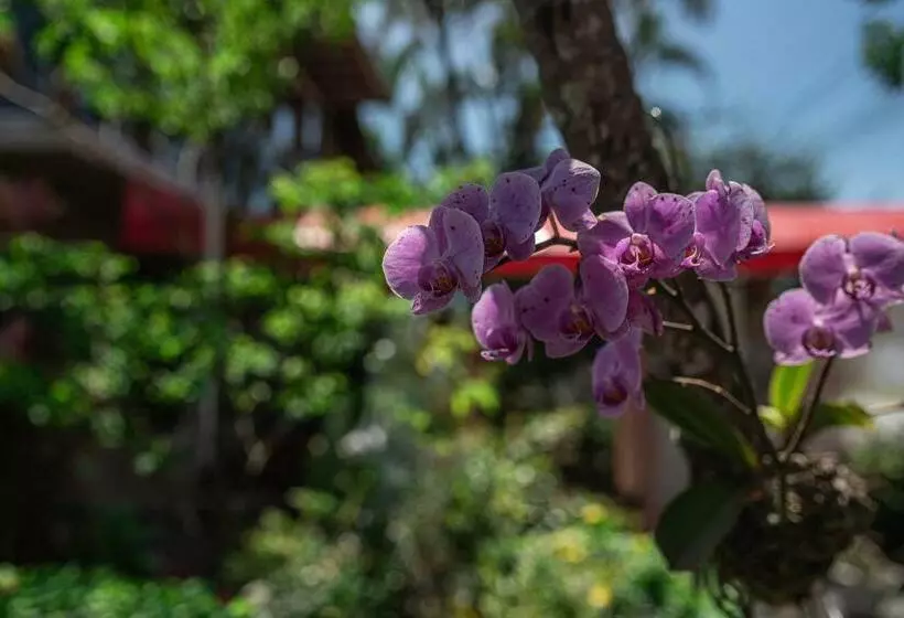 پانسیون Pousada Navegantes