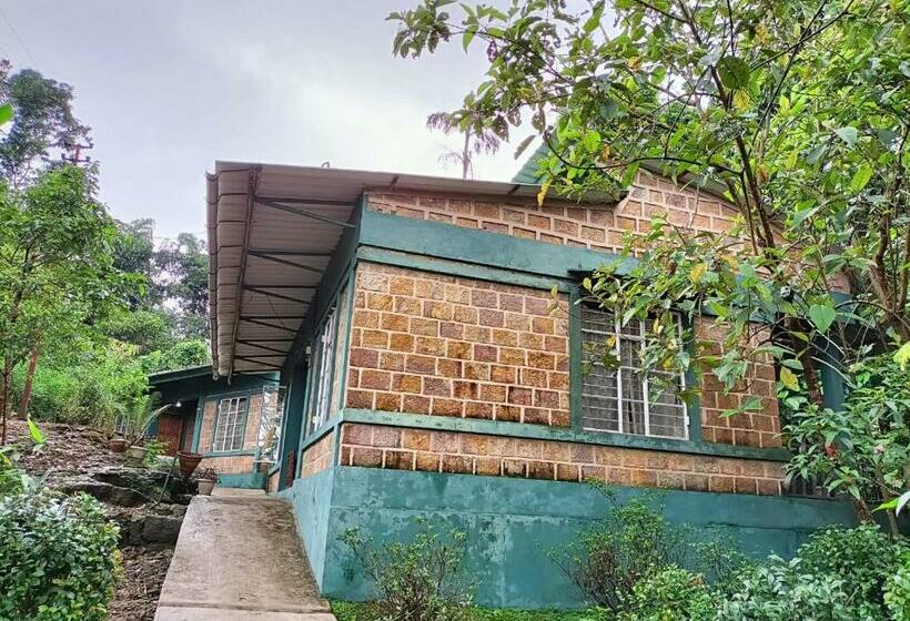 Pensjonat Stream Side Guest House