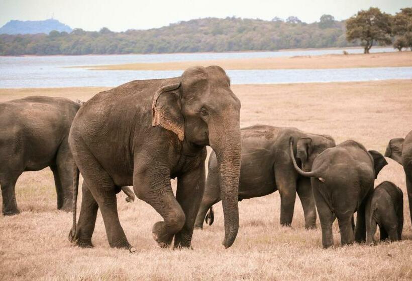 فندق Keyali Holiday Inn