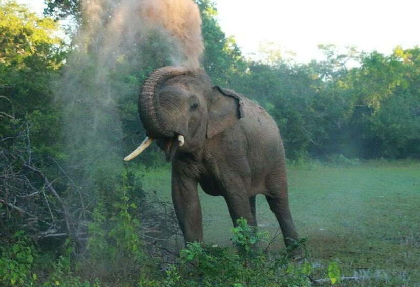 فندق Keyali Holiday Inn