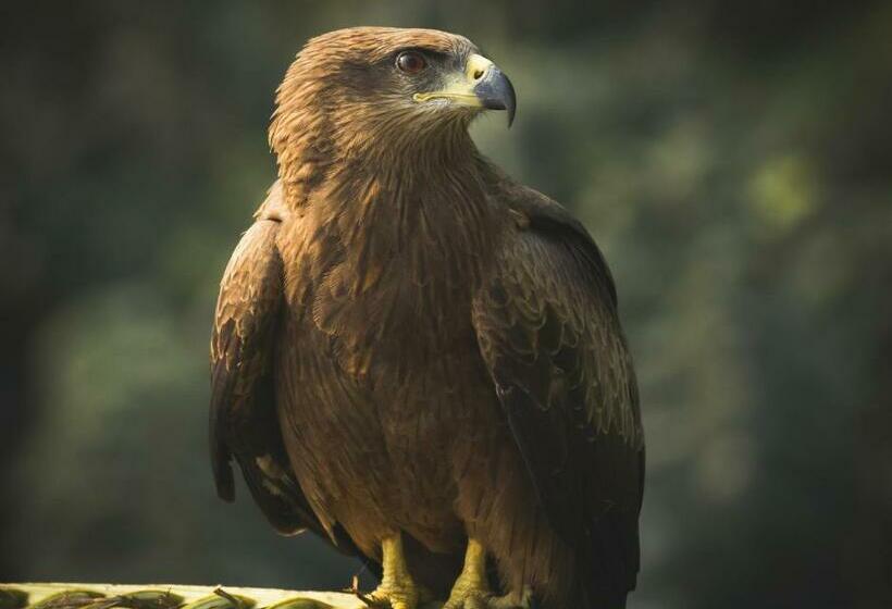 فندق Keyali Holiday Inn