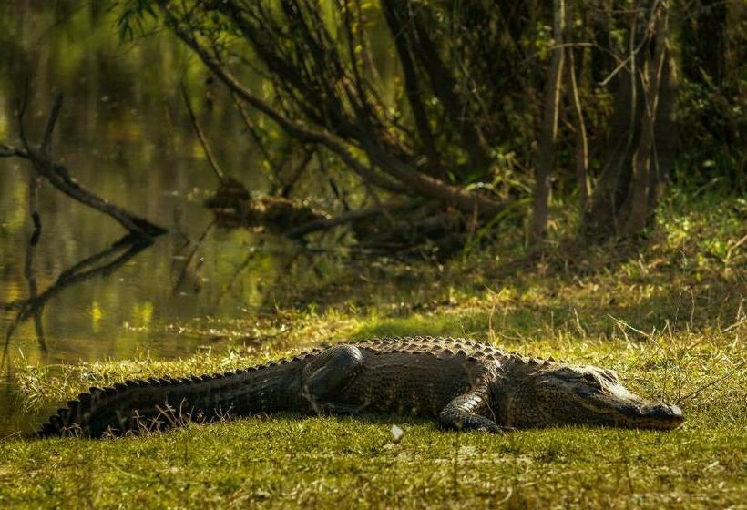 فندق Keyali Holiday Inn