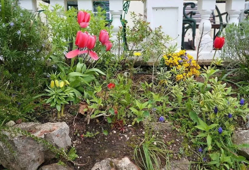 ホテル Fleurie Guest House