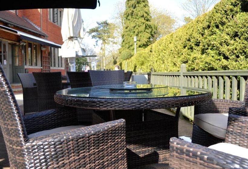 ホテル Hopping Hare