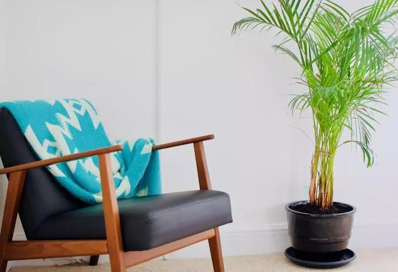 Hotel The Coast House