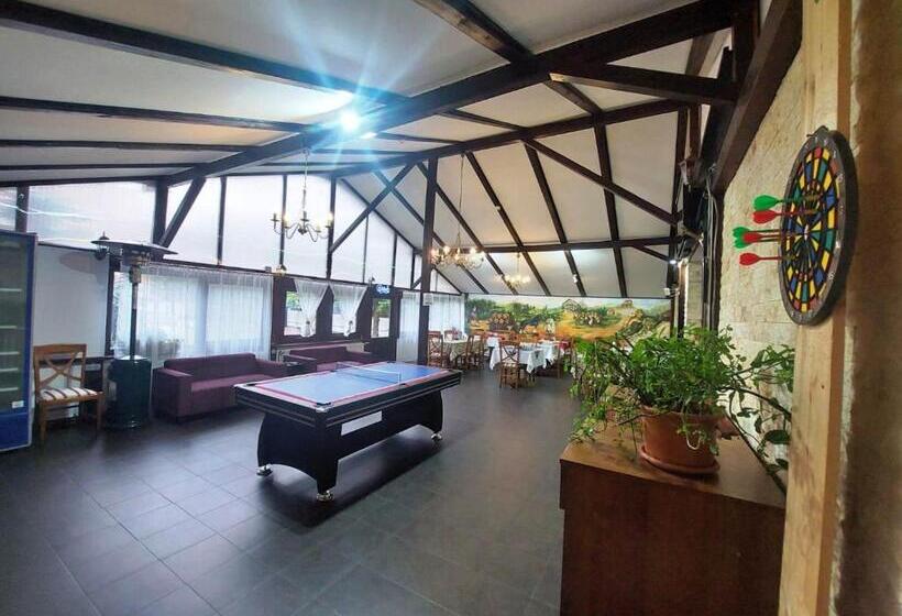 Pensiunea Boema Ploiesti