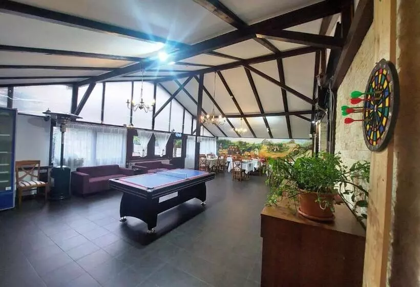 Pensiunea Boema Ploiesti