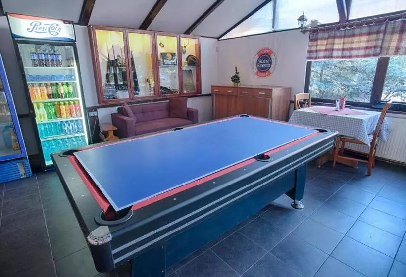 Pensiunea Boema Ploiesti