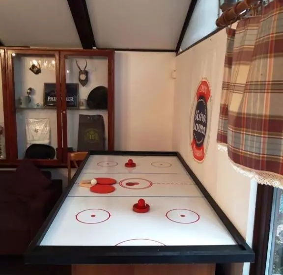 Pensiunea Boema Ploiesti