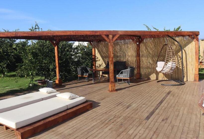 هتل Mandalin Glamping