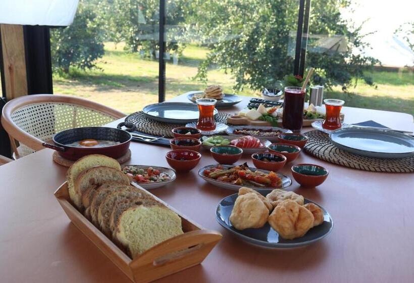 هتل Mandalin Glamping