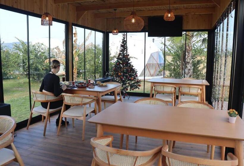 هتل Mandalin Glamping