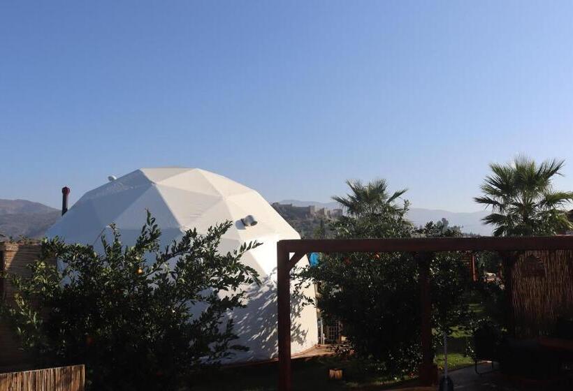 هتل Mandalin Glamping