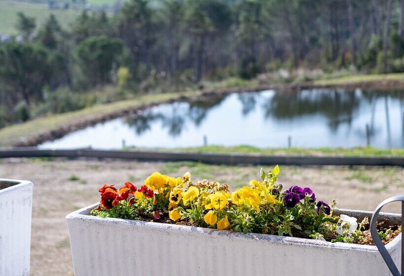 膳宿费 Casa Di Palaia