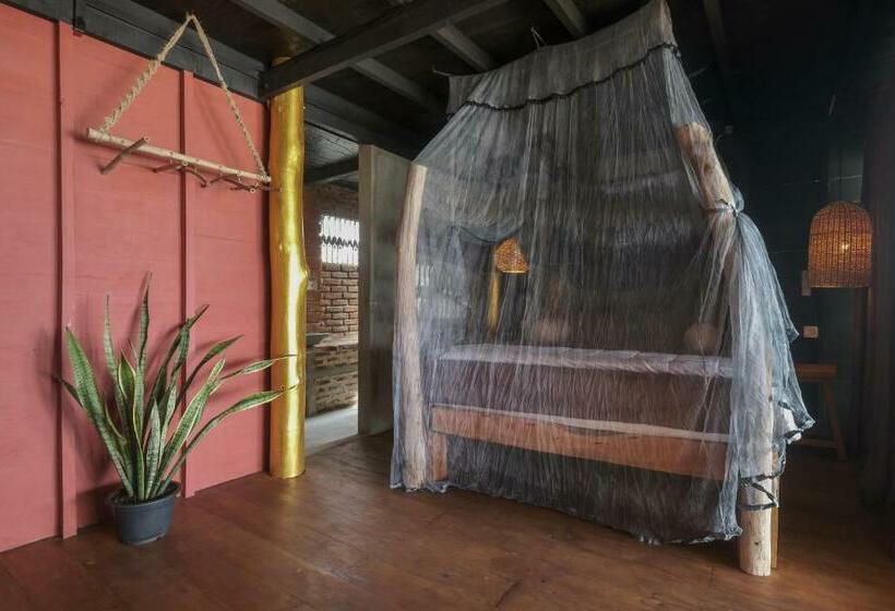 مبيت وإفطار Forget Me Not