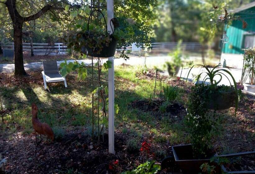 민박 Les Oiseaux Voyageurs