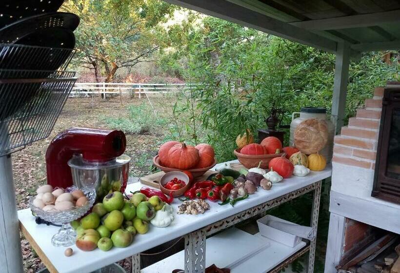 민박 Les Oiseaux Voyageurs