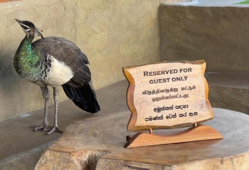 Bed and Breakfast Kathircholai