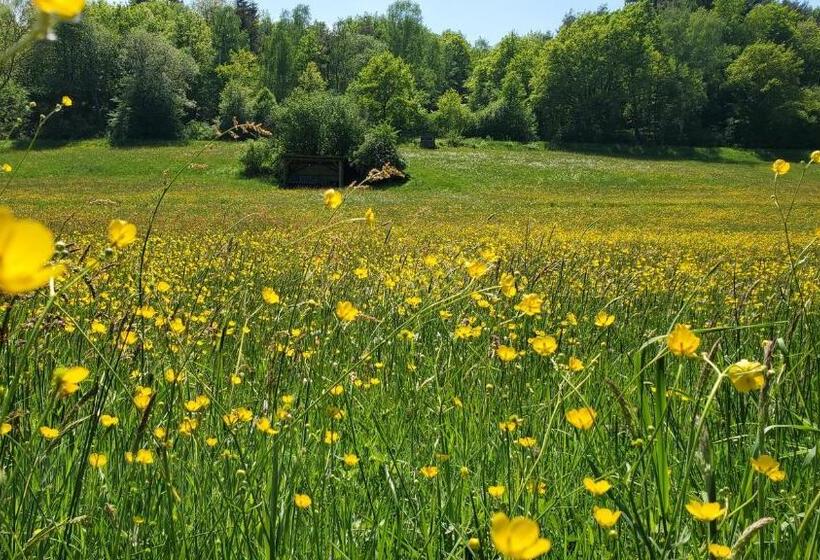 בית מלון כפרי Landgasthof Steuber