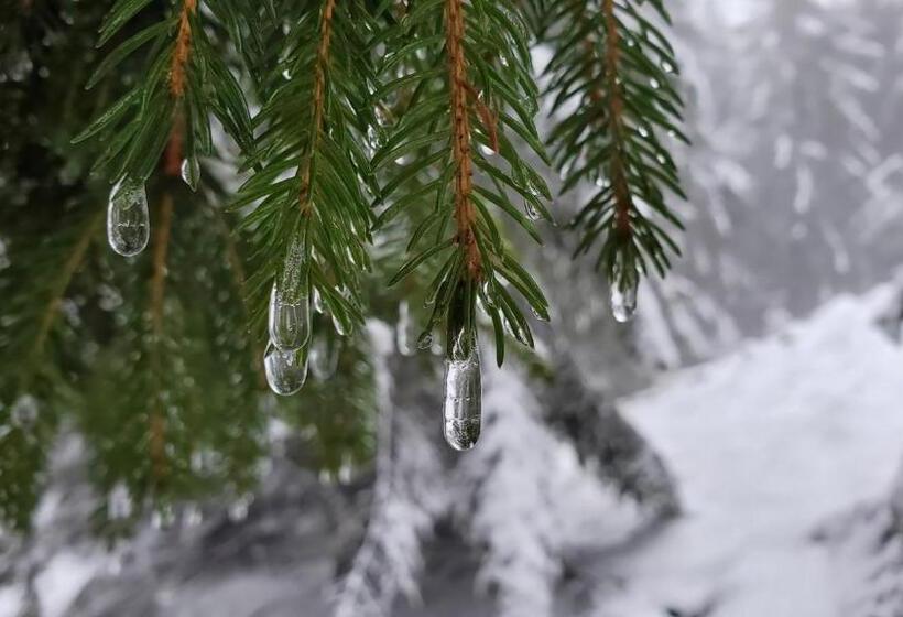 בית מלון כפרי Landgasthof Steuber