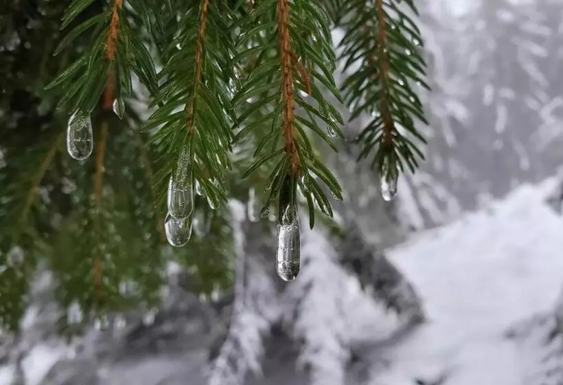 Hotelli Landgasthof Steuber