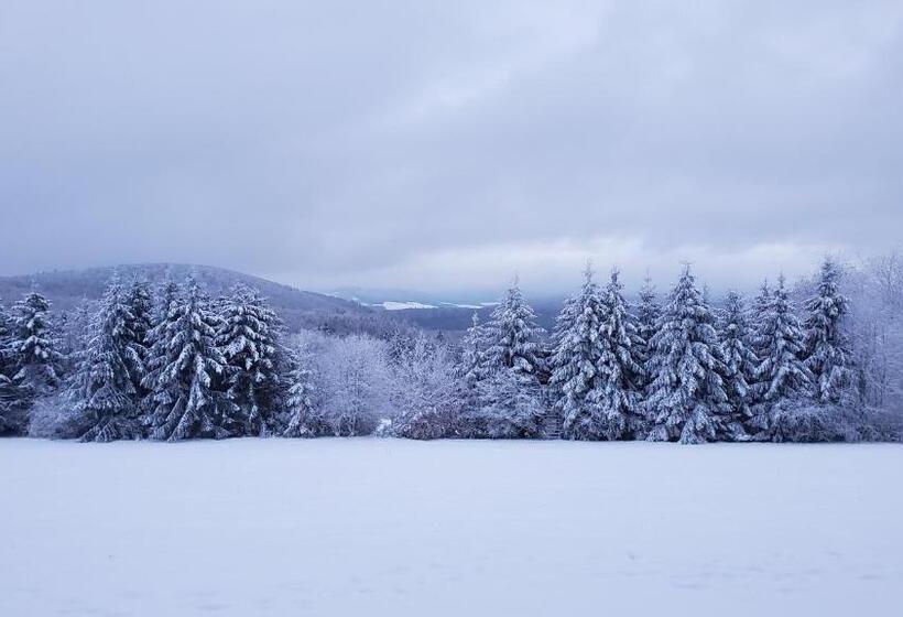בית מלון כפרי Landgasthof Steuber