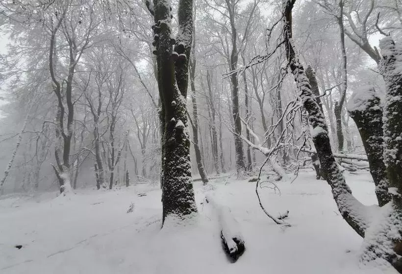 Hotelli Landgasthof Steuber