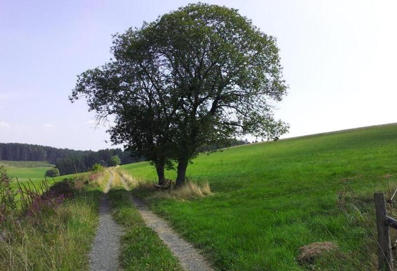בית מלון כפרי Landgasthof Steuber