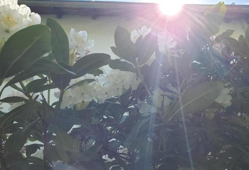 בית מלון כפרי Landgasthof Steuber