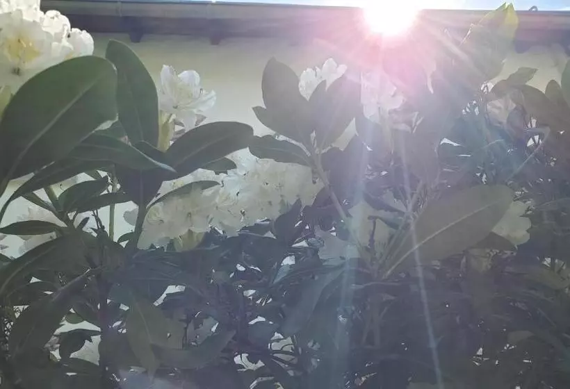 Hotelli Landgasthof Steuber