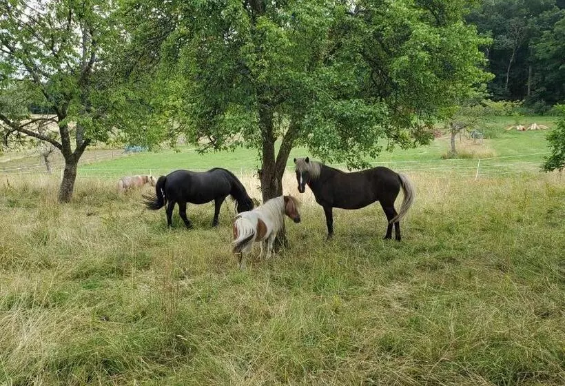 Hotelli Landgasthof Steuber