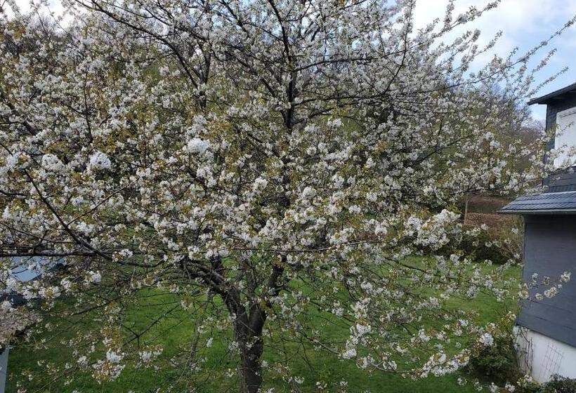 בית מלון כפרי Landgasthof Steuber