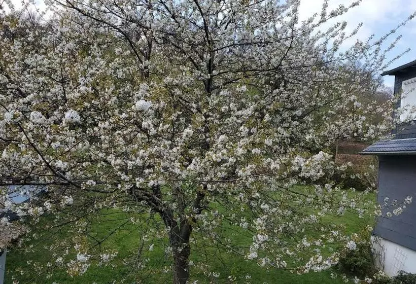 Hotelli Landgasthof Steuber