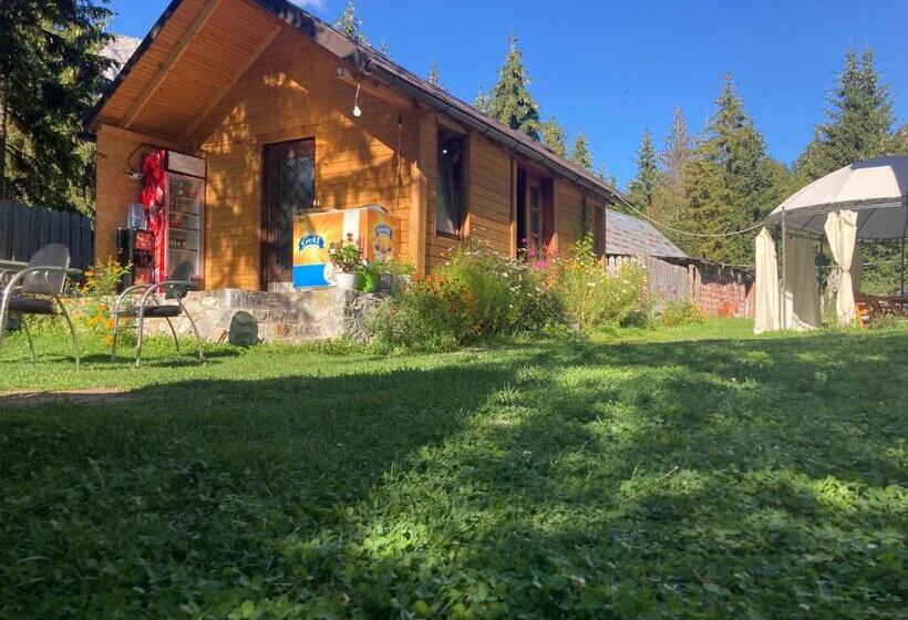 פנסיון Bujtina Arturi