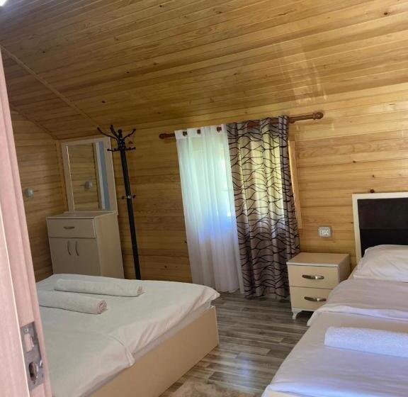 פנסיון Bujtina Arturi