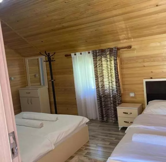 ペンション Bujtina Arturi