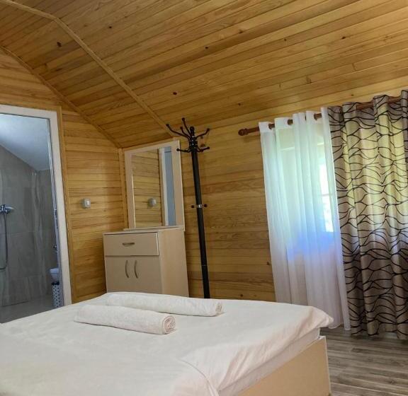 פנסיון Bujtina Arturi