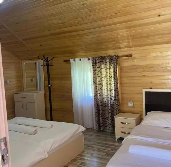 ペンション Bujtina Arturi