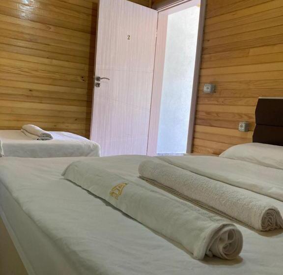 פנסיון Bujtina Arturi