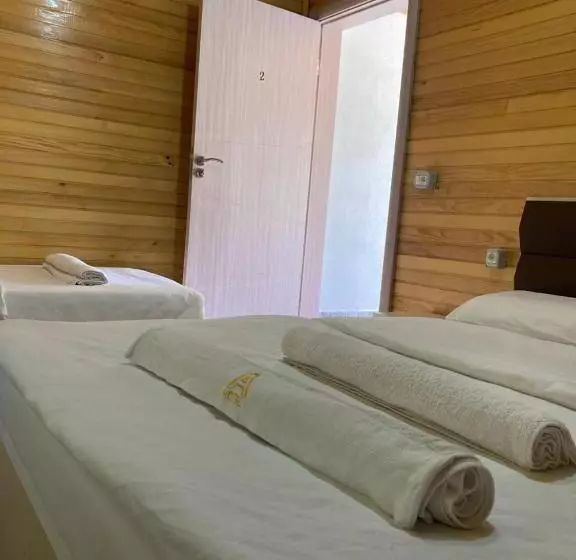 ペンション Bujtina Arturi