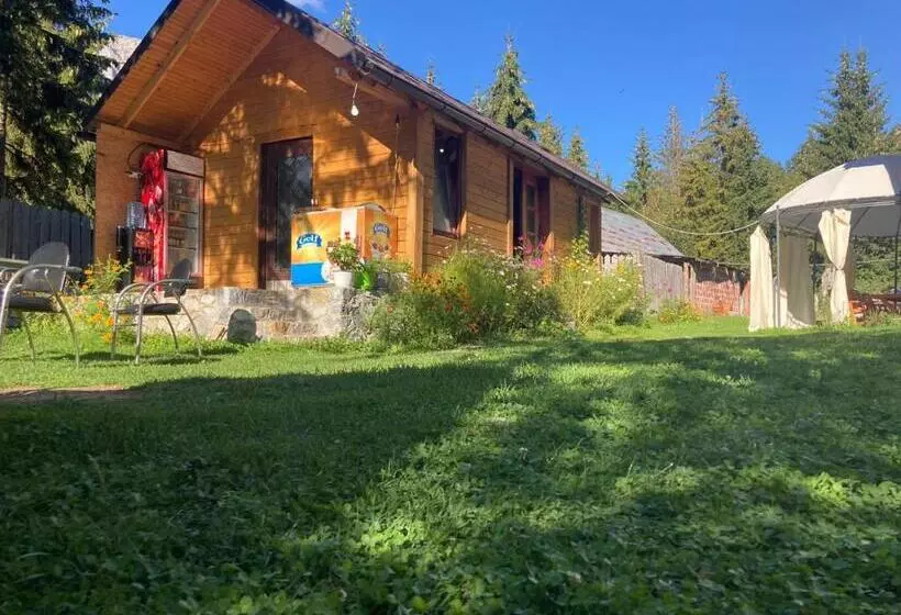 ペンション Bujtina Arturi