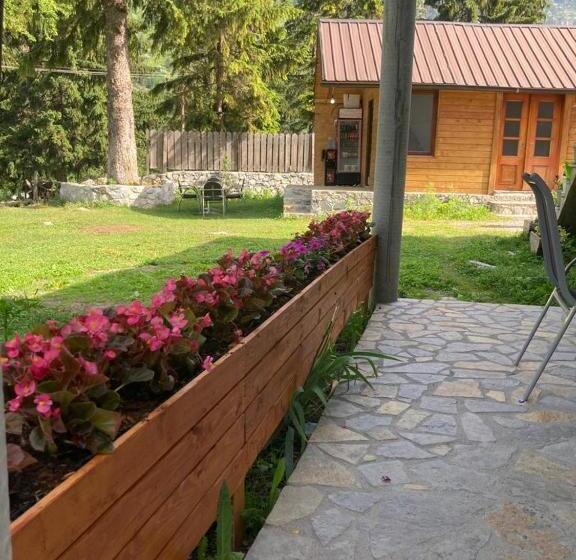 פנסיון Bujtina Arturi