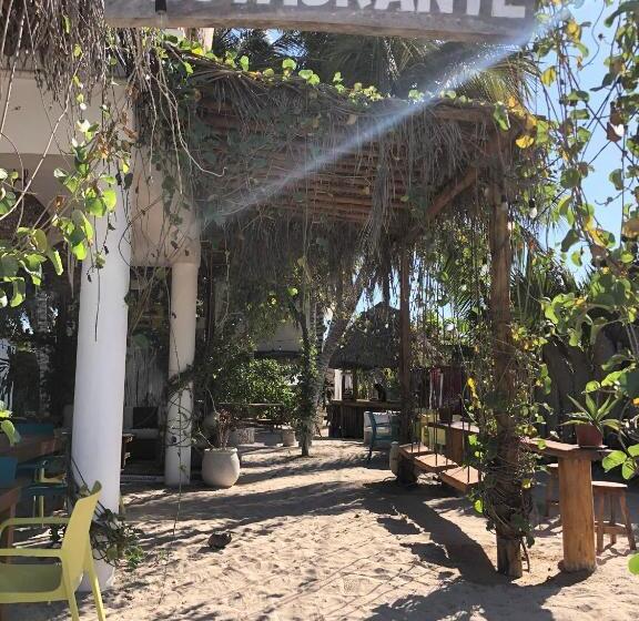 ホテル Boutique Can Cocal El Cuyo